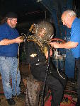 IMG_4659 IMG_4659