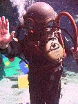 IMG_4669 IMG_4669
