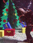 IMG_4671 IMG_4671