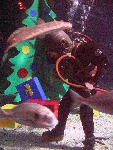 IMG_4672 IMG_4672