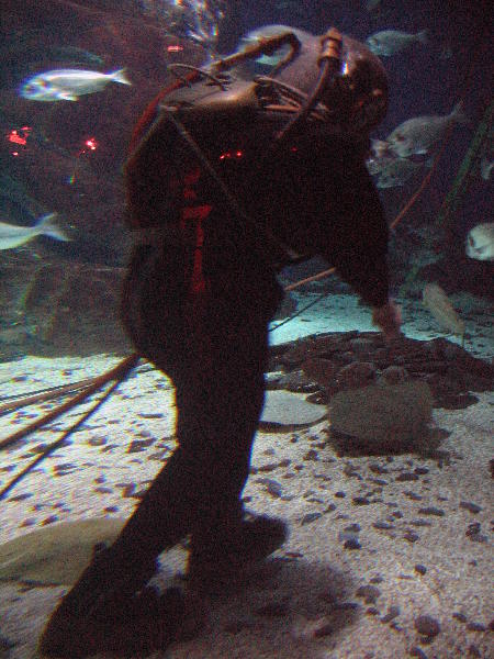 IMG_4674