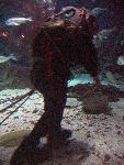 IMG_4674 IMG_4674