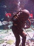 IMG_4675 IMG_4675