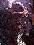 IMG_4676 IMG_4676