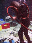 IMG_4678 IMG_4678