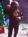 IMG_4681 IMG_4681