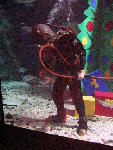 IMG_4682 IMG_4682