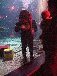 IMG_4683 IMG_4683