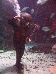 IMG_4685 IMG_4685