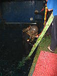 IMG_4740 IMG_4740