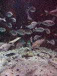 IMG_4741 IMG_4741
