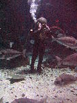 IMG_4742 IMG_4742