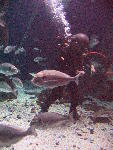 IMG_4743 IMG_4743