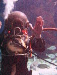 IMG_4745 IMG_4745