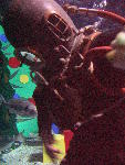 IMG_4746 IMG_4746