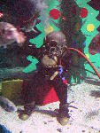 IMG_4749 IMG_4749
