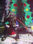 IMG_4750 IMG_4750