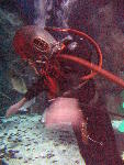 IMG_4751 IMG_4751