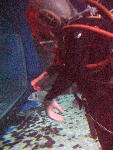 IMG_4752 IMG_4752