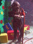 IMG_4753 IMG_4753