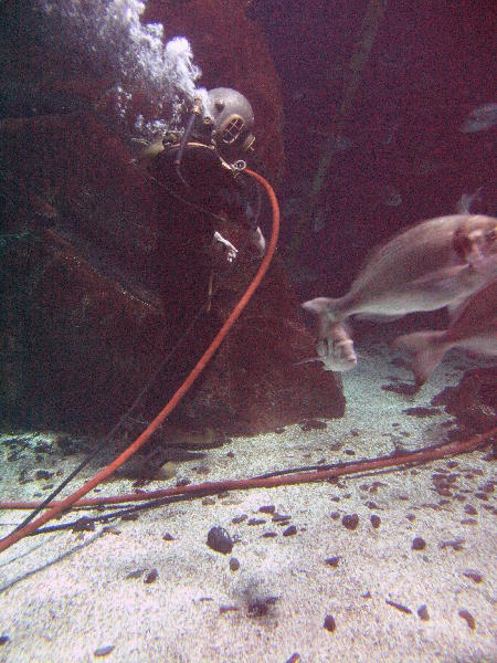 IMG_4758