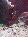 IMG_4758 IMG_4758