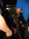 IMG_4763 IMG_4763