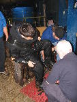 IMG_4775 IMG_4775