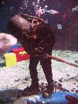 IMG_4810 IMG_4810