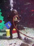 IMG_4815 IMG_4815