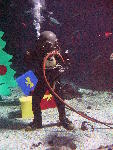 IMG_4816 IMG_4816