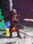 IMG_4817 IMG_4817