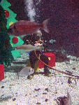 IMG_4818 IMG_4818