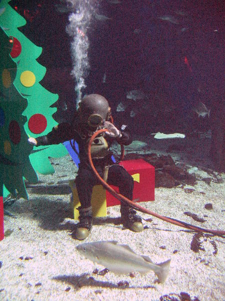 IMG_4819