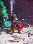IMG_4819 IMG_4819