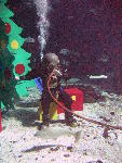IMG_4820 IMG_4820