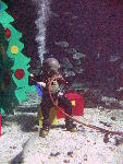 IMG_4822 IMG_4822