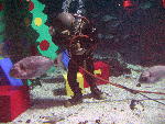 IMG_4824 IMG_4824