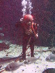 IMG_4833 IMG_4833