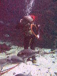 IMG_4835 IMG_4835