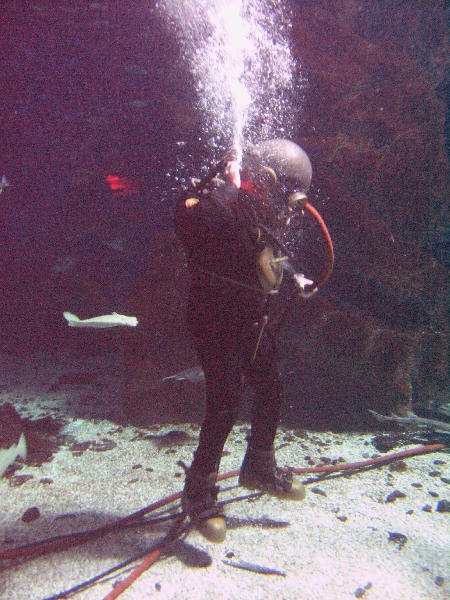 IMG_4836
