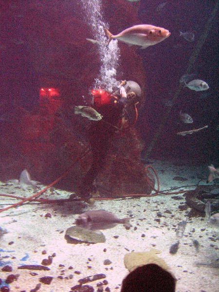 IMG_4838