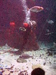 IMG_4838 IMG_4838