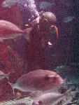 IMG_4839 IMG_4839