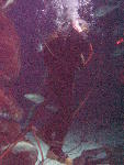 IMG_4840 IMG_4840