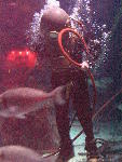 IMG_4841 IMG_4841