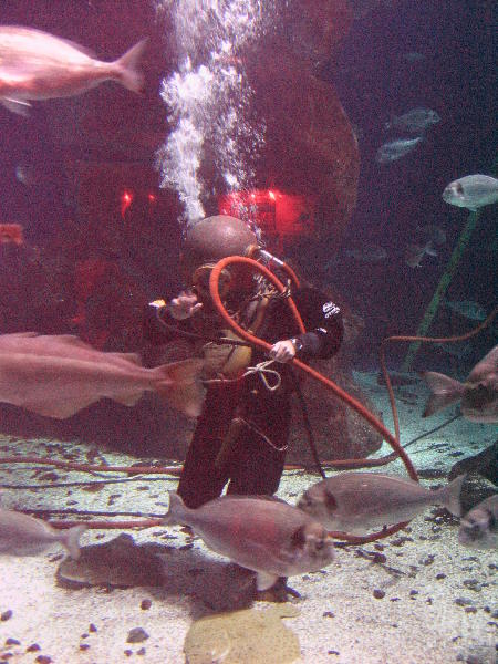 IMG_4842
