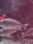 IMG_4846 IMG_4846