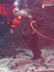 IMG_4847 IMG_4847