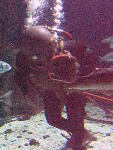 IMG_4848 IMG_4848